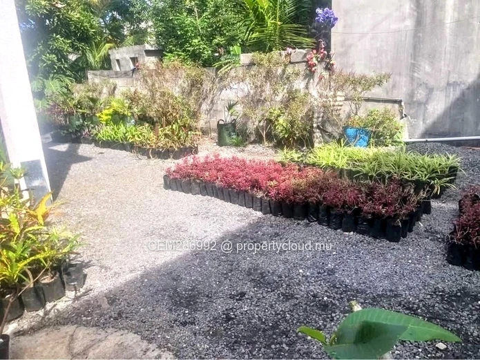 Two houses + nursery business For Sale - Quatre Cocos