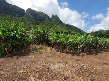 Residential Land