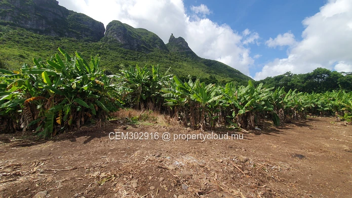 26.29 perches Freehold Residential Land for Sale at La Laura Peter Both