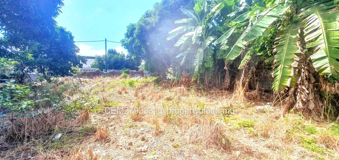 Prime plot along Dr Jeetoo Avenue Stanley Rose Hill