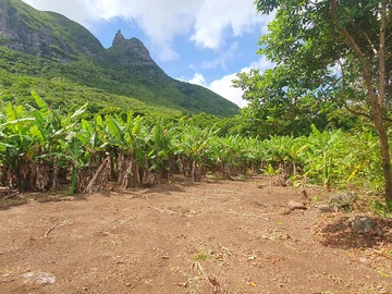 Residential Land
