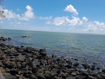 Land