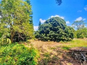 Residential Land