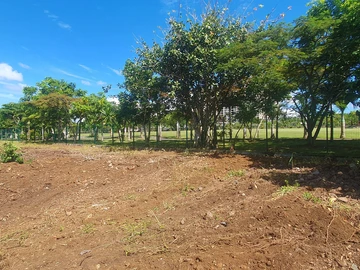 Residential Land