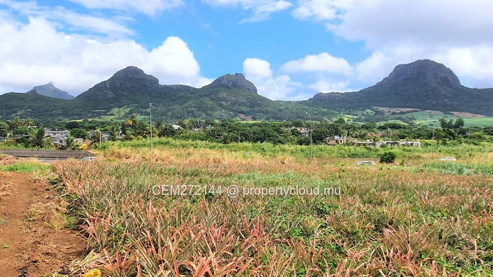 Agricultural Land for Sale – 233 Perche(s), Long Mountain, North