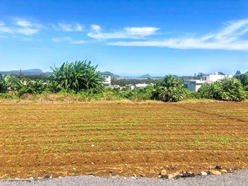 Residential Land