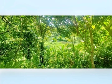 Residential Land