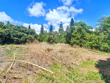 Residential Land