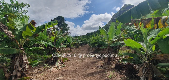 26.29 perches Freehold Residential Land for Sale at La Laura Peter Both