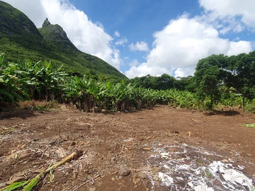 Residential Land