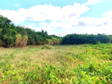 Land