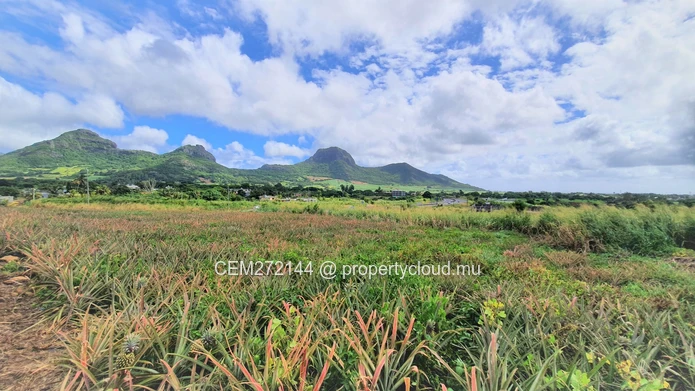 Agricultural Land for Sale – 233 Perche(s), Long Mountain, North