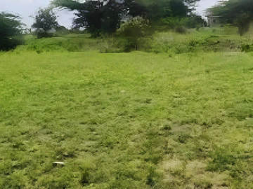 Land
