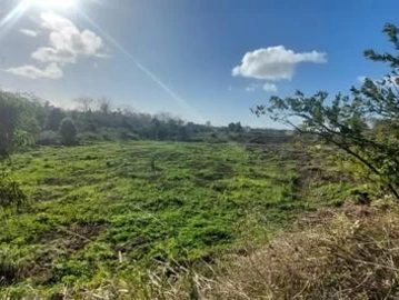 Residential Land
