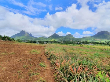 Agricultural Land