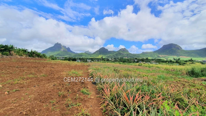Agricultural Land for Sale – 233 Perche(s), Long Mountain, North