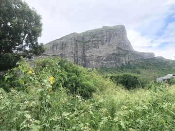 Land