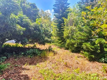 Residential Land