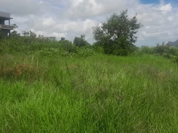Residential Land
