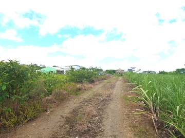 Agricultural Land