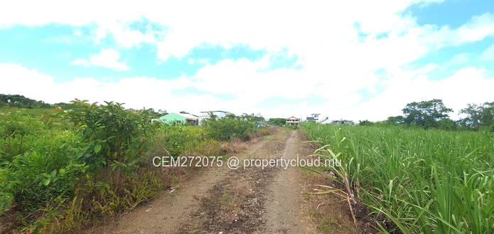 Agricultural Land for Sale in Beau Climat, South – Prime Plot for Cultivation!