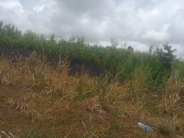 Commercial Land