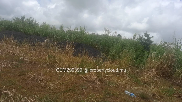 2.8 Arpent Commercial Land for Sale – Trianon (Next to RM Garden)