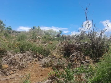 Residential Land