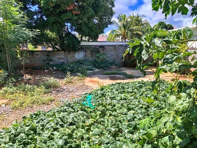 Sale of 3 Lots – House in Co-ownership + Fully Fenced Land in Cassis, Port louis