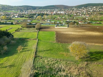 Residential Land