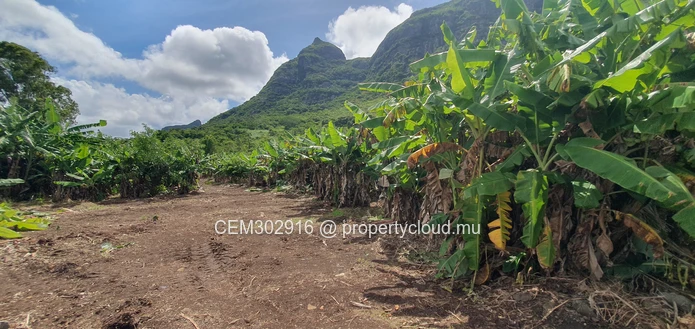 26.29 perches Freehold Residential Land for Sale at La Laura Peter Both