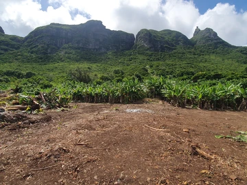 Residential Land