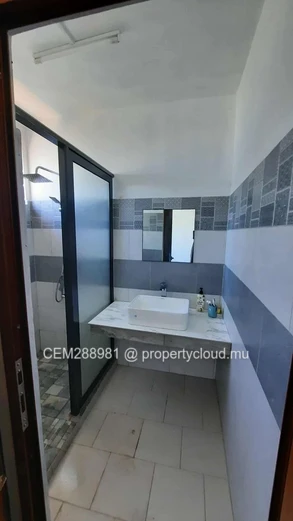 Elegant 4-Bedroom House With A Swimming Pool For Rent In Trou d’Eau Douce