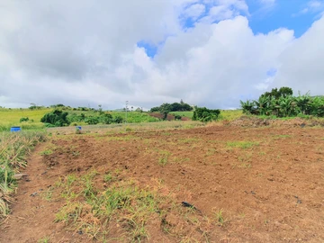 Agricultural Land