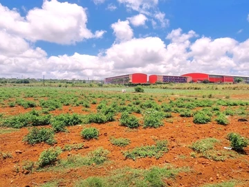 Commercial Land