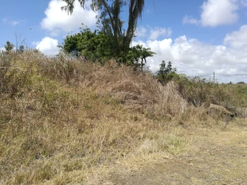 Residential Land