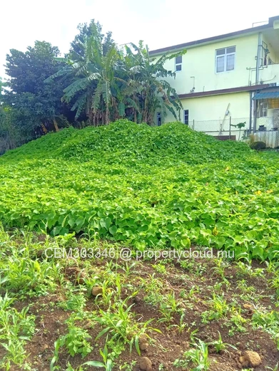 50 perches prime plot for sale in Quartier Militaire