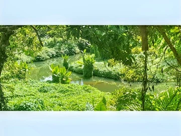 Residential Land
