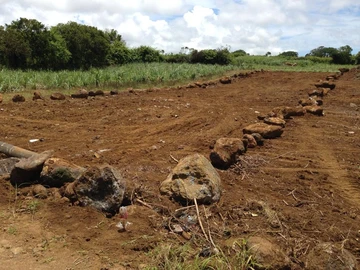 Residential Land