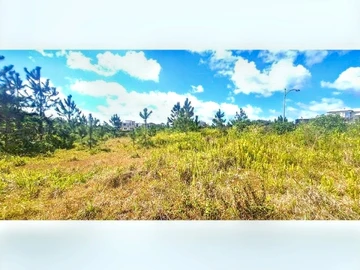 Residential Land