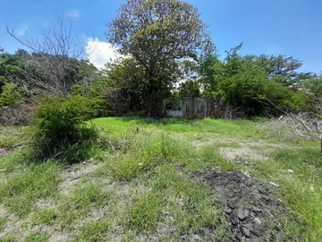 Land