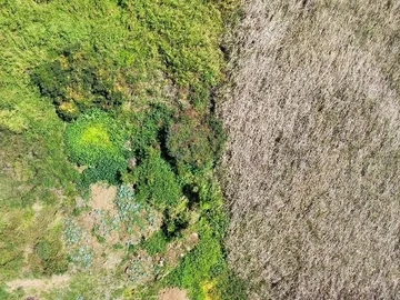 Residential Land