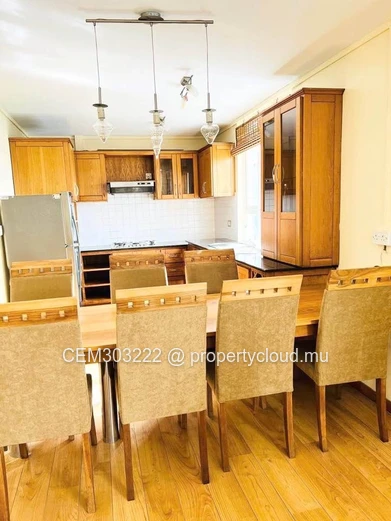 Super Luxurious Fully Furnished Apartment For Rent in Quatre-Bornes