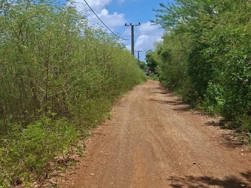 Residential Land