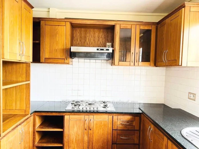 Super Luxurious Fully Furnished Apartment For Rent in Quatre-Bornes