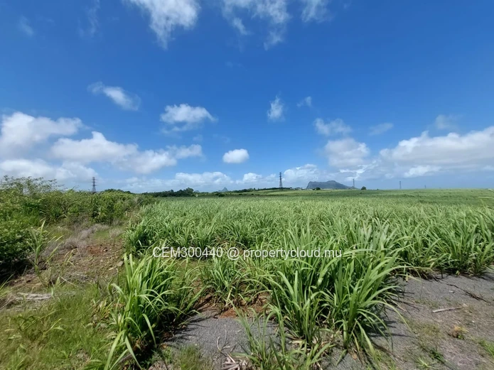 3 arpent 50 Commercial Land for Sale – Valentina, Phoenix