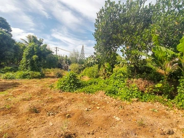 Residential Land
