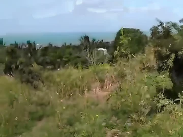 Agricultural Land