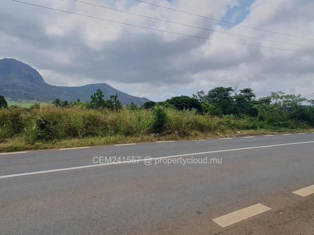 Commercial land - 130 perches for sale in Long Mountain