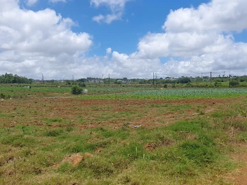 Commercial Land